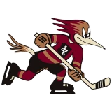 Tucson Roadrunners