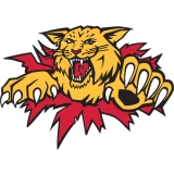 Moncton, Wildcats